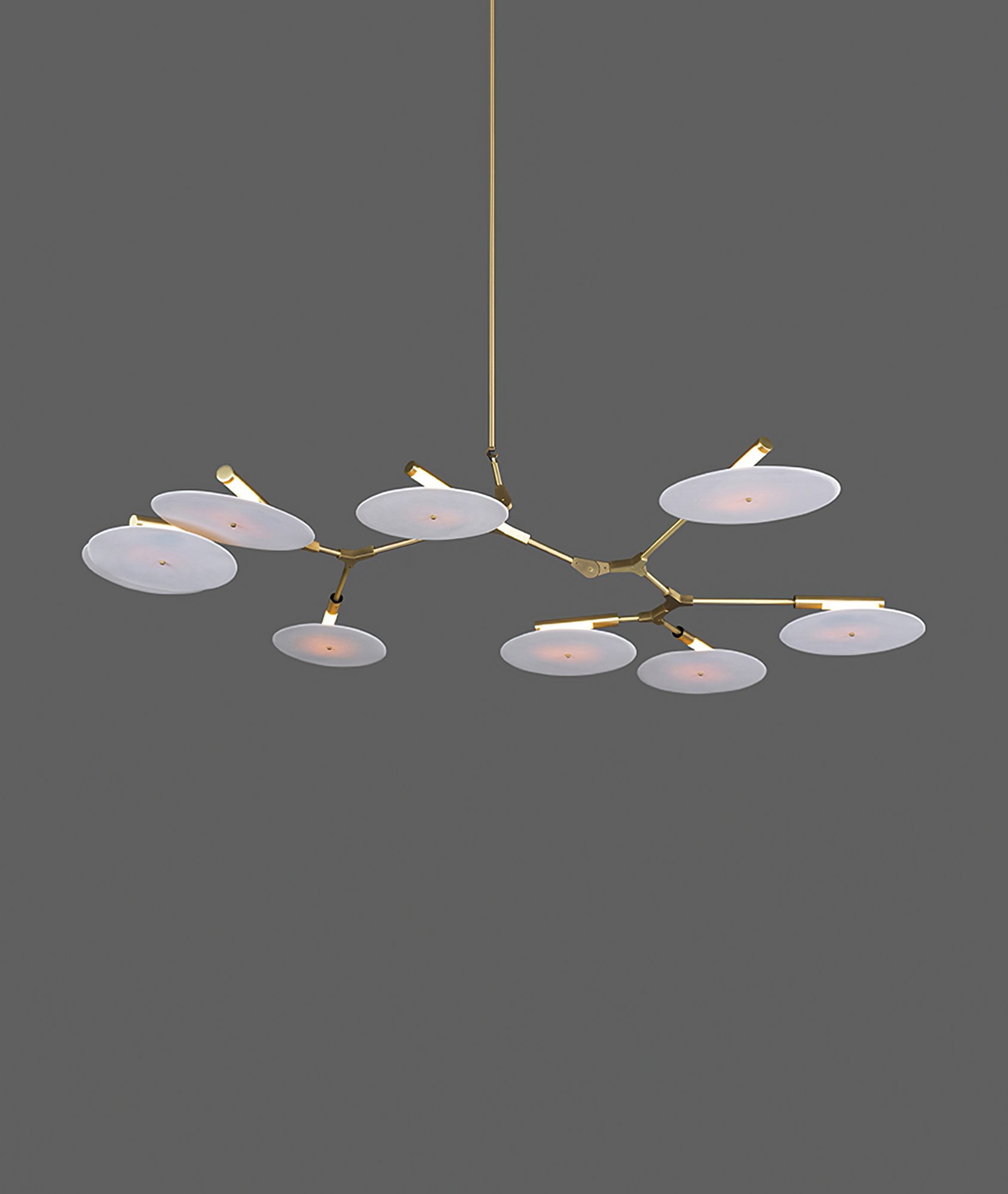 Branching Disc Chandelier BD.09.01