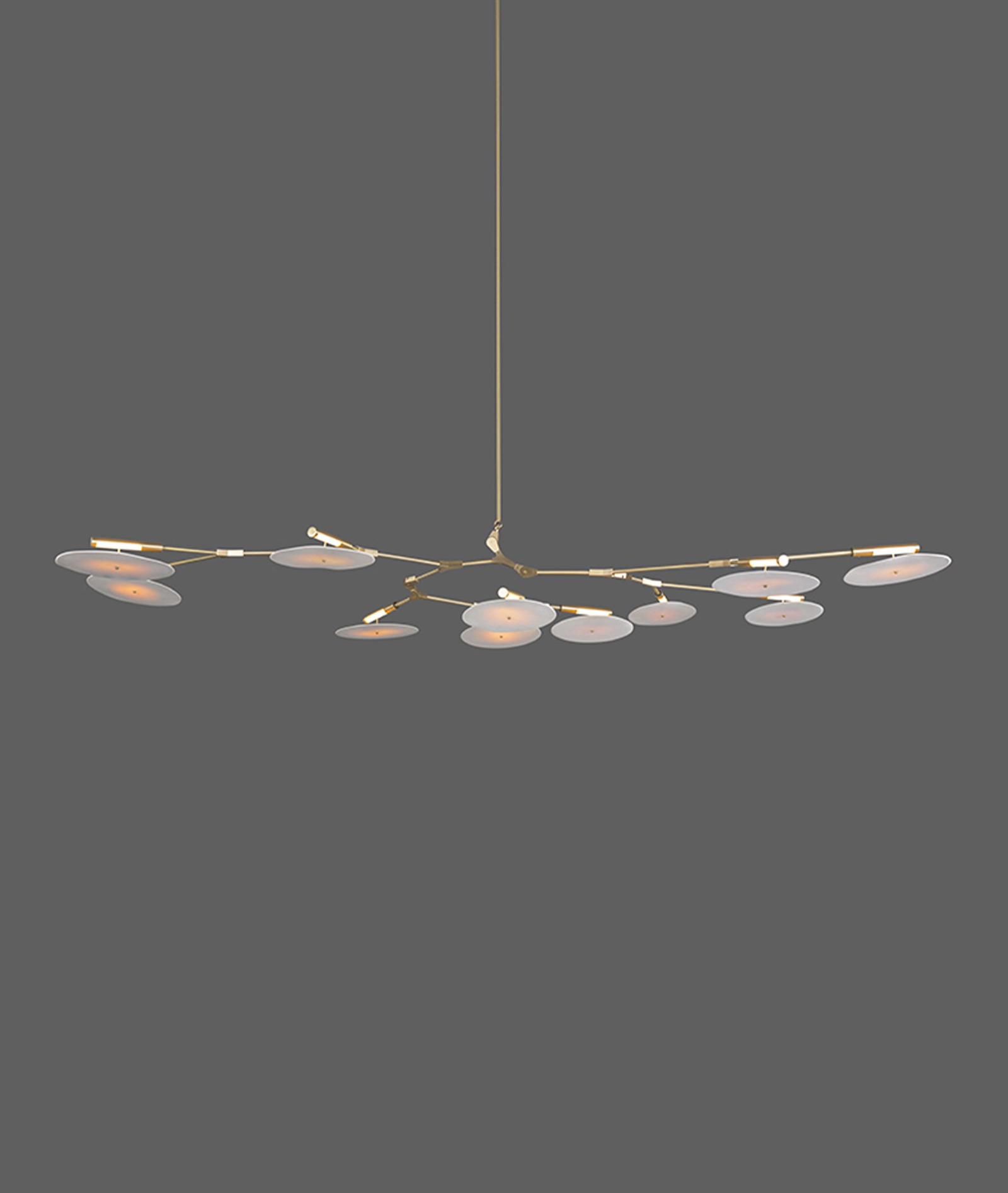 Branching Disc Chandelier BD.11.01